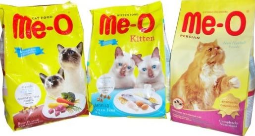 Obat Kucing Sakit Cara Mengobati Kucing Muntah Muntah