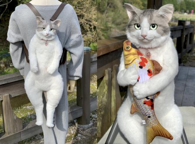 Fakta Unik Kucing Di Jepang
